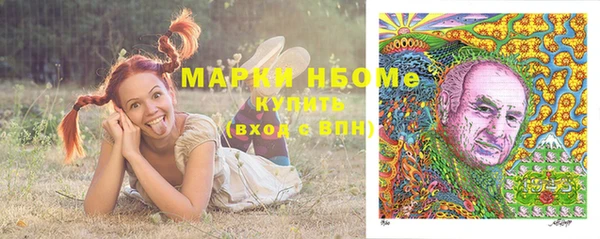 прущий лед Абаза