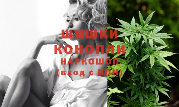 прущий лед Абаза