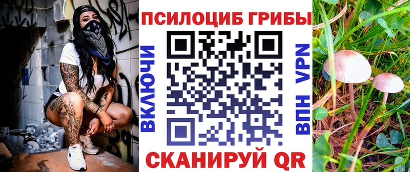 цены наркотик Нягань MEGA как войти Псилоцибиновые грибы Cubensis
