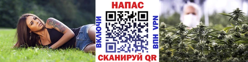 Шишки марихуана AK-47  мега онион  Нягань 